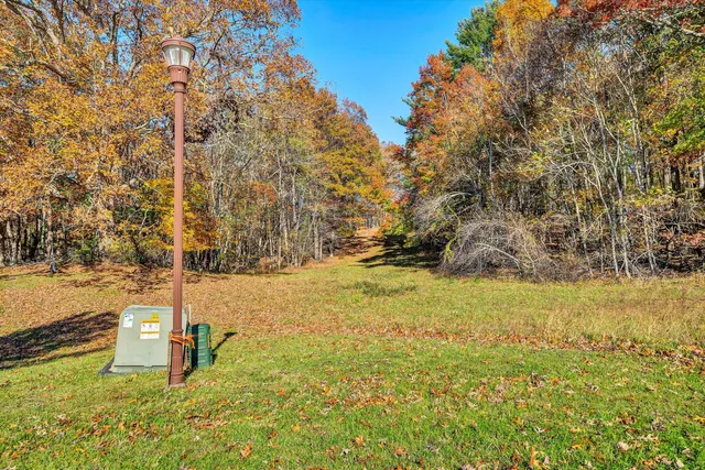 a view of yard with large trees