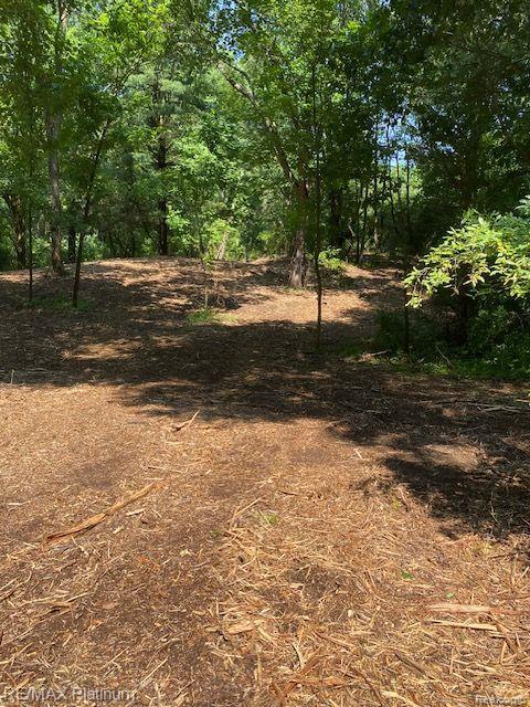 7 Sleaford-parcel 7 - 2 Acres Road Howell, MI 48843 - Photo 16 of 45