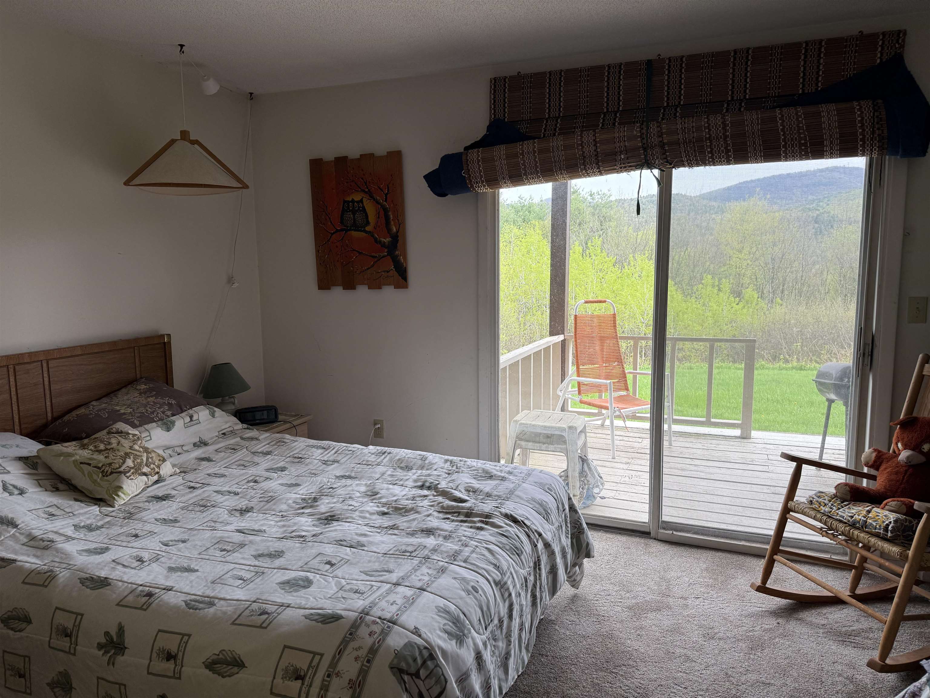 708 Butternut Hill Road, Unit 6 Wells, VT 05774 - Photo 13 of 19