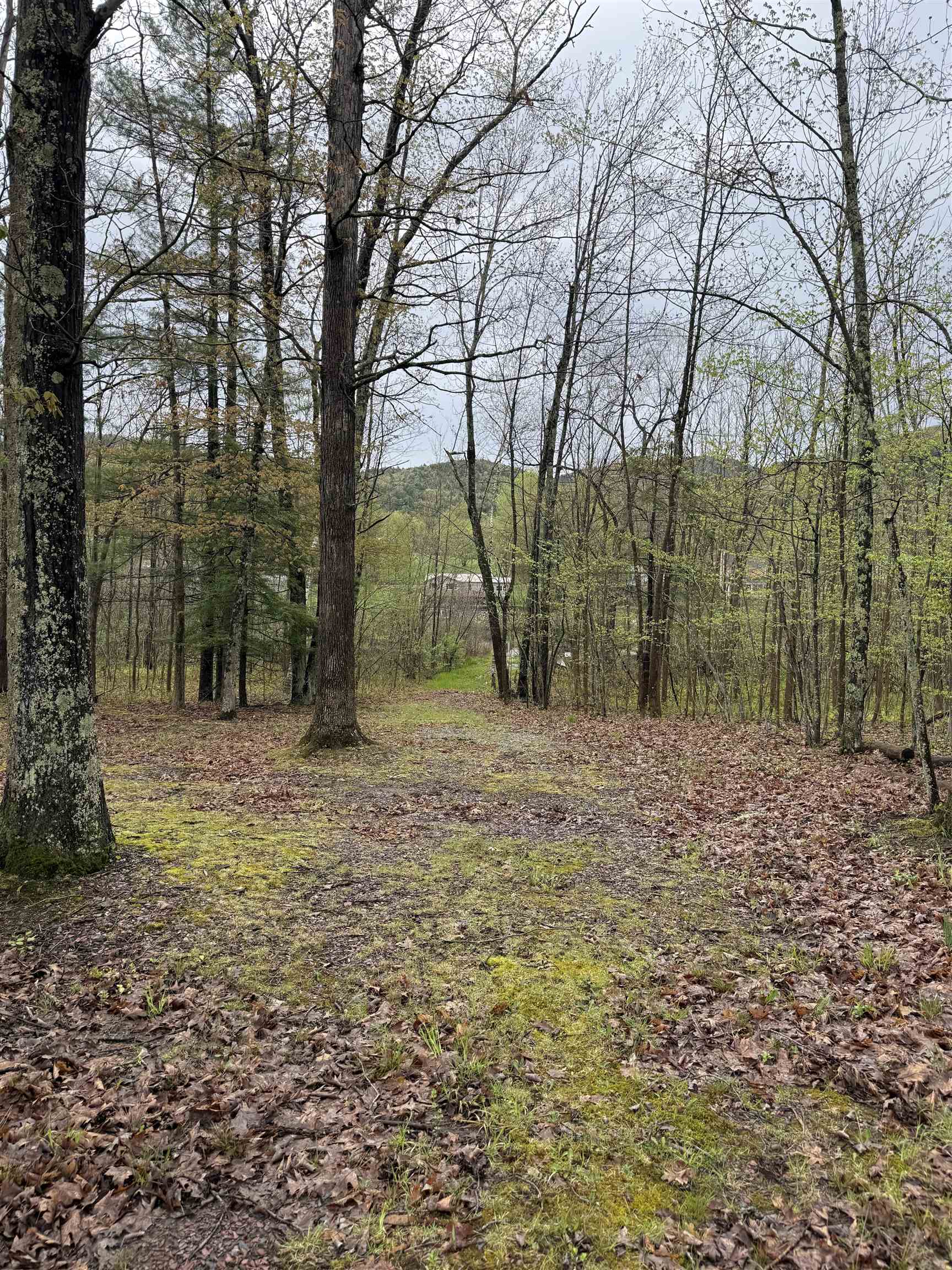 708 Butternut Hill Road, Unit 6 Wells, VT 05774 - Photo 18 of 19
