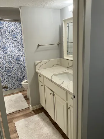 a bathroom with a sink and vanity