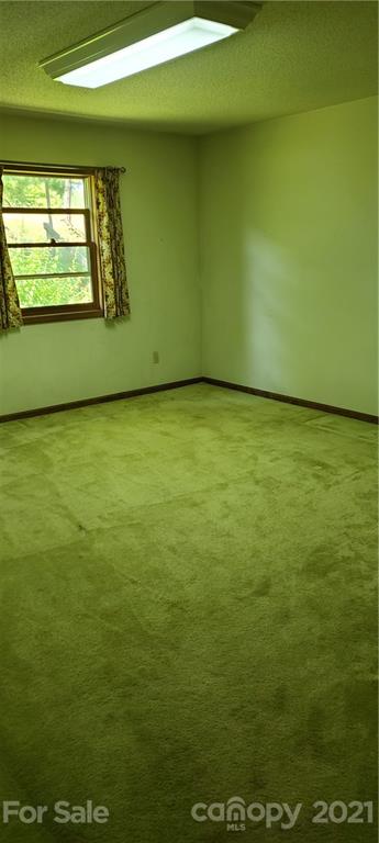 200 Panther Branch Road Alexander, NC 28701 - Photo 8 of 23 Gallery Image 8