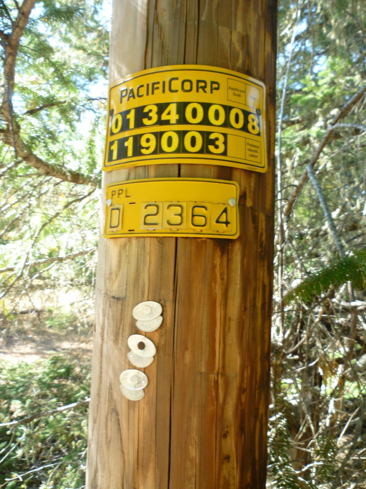 4125 Dick George Road Cave Junction, OR 97523 - Photo 16 of 50 P1160050