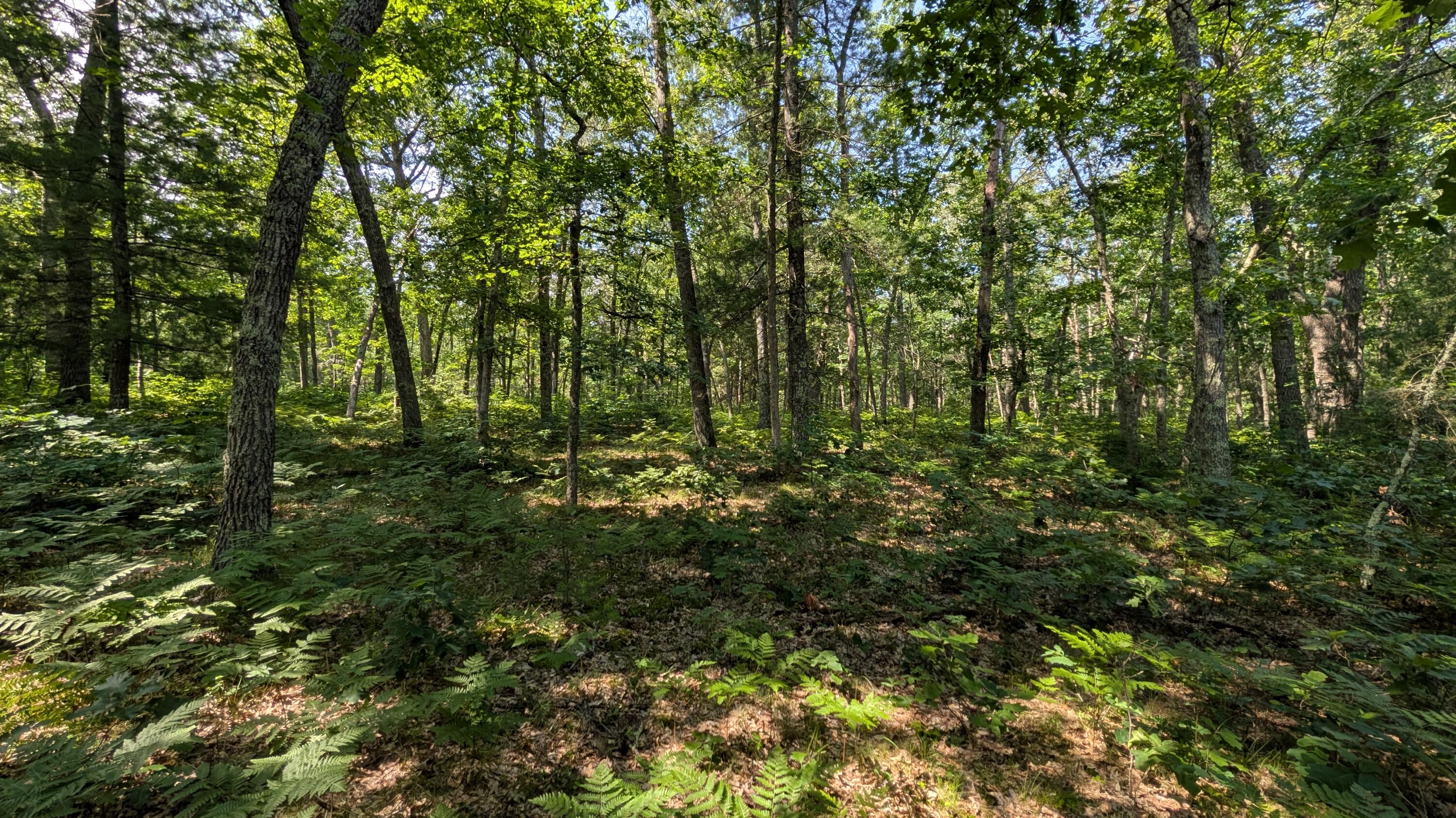 V/l East Stark Road Manistee, MI 49660 - Photo 4 of 9 1000003379