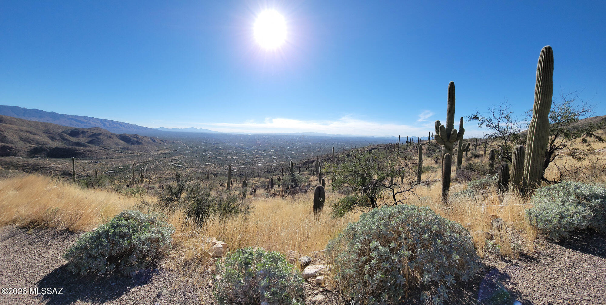 5499 North Wentworth Road Tucson, AZ 85749 - Photo 7 of 8 Views