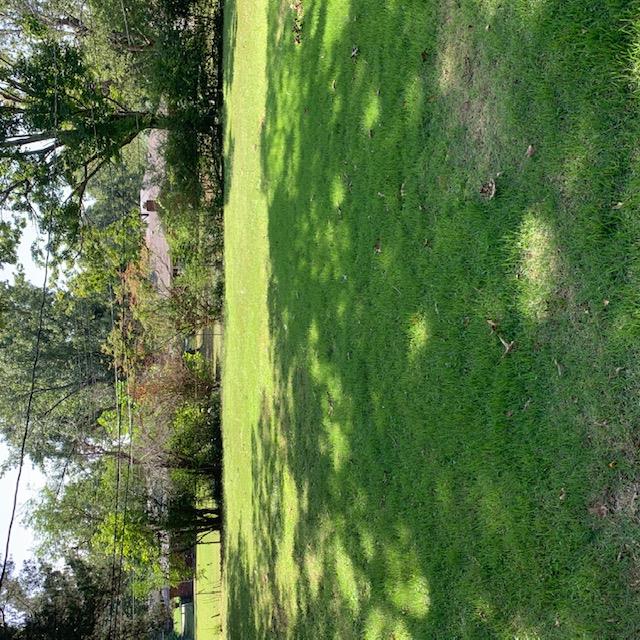 949 Cullenwood Road Memphis, TN 38116 - Photo 5 of 5 Gallery Image 5