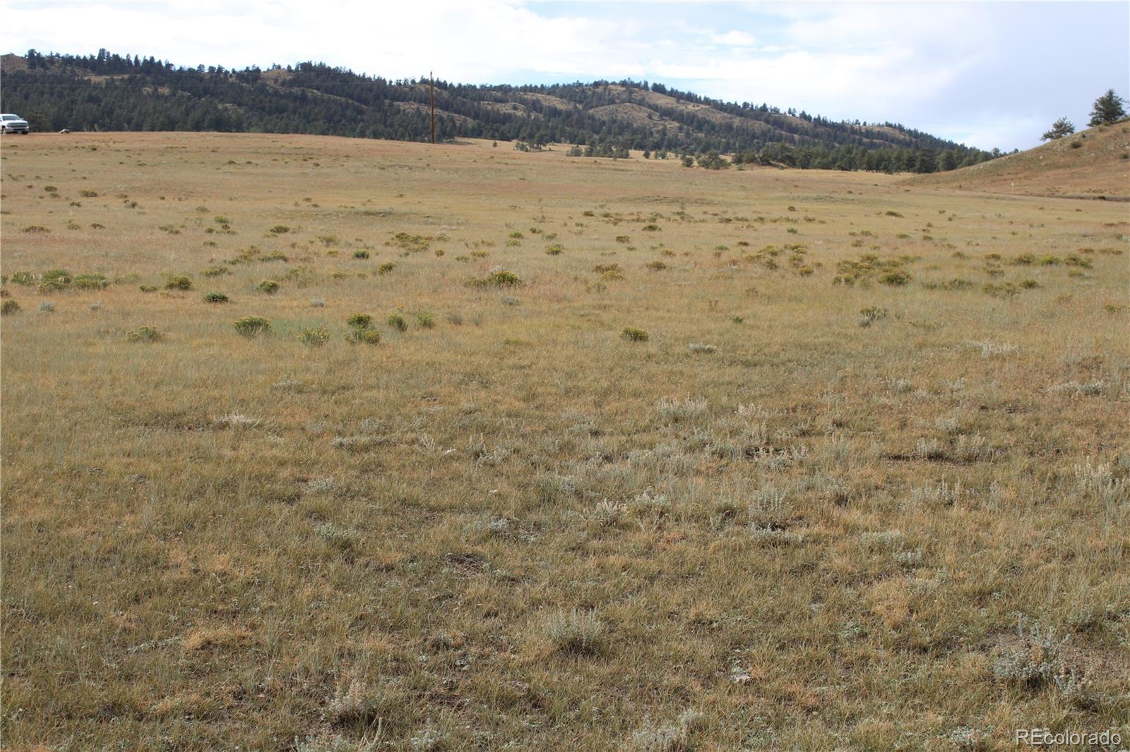 4108 Elkhorn Road Hartsel, CO 80449 - Photo 4 of 9 Gallery Image 4