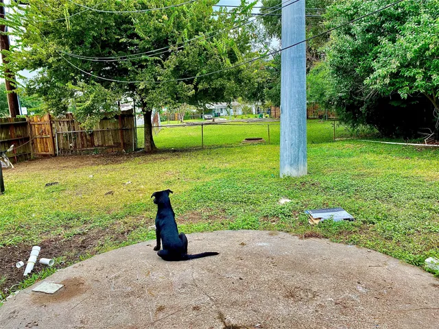 a view of a garden with plants