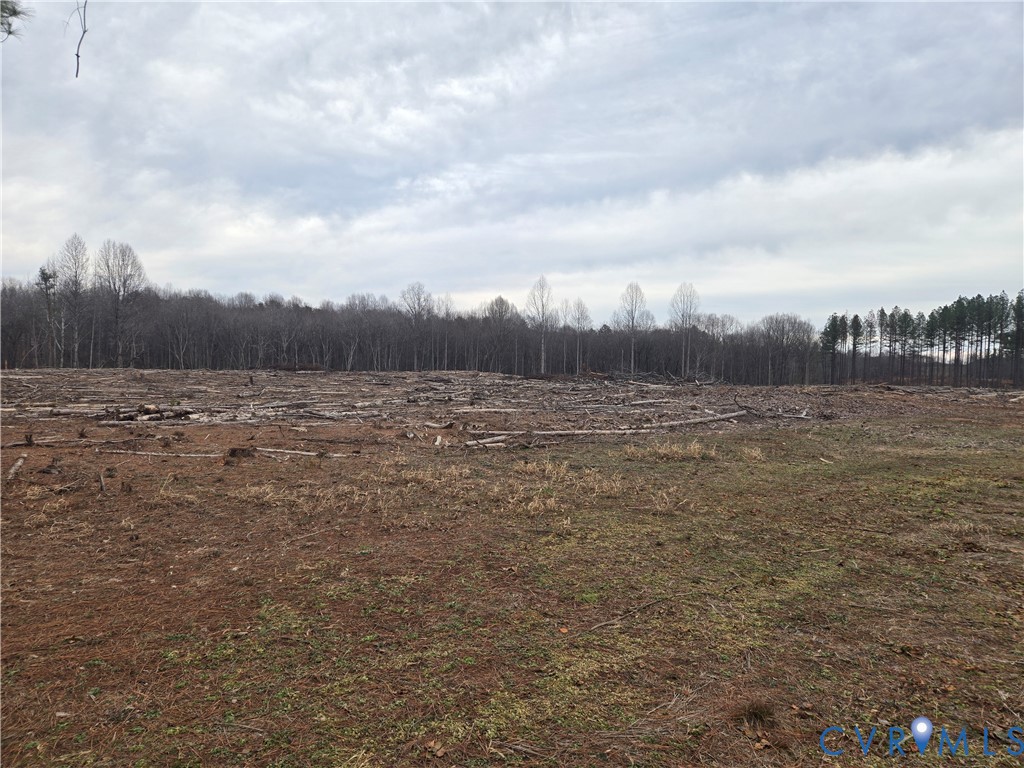 0 Fredericks Hall Road Mineral, VA 23117 - Photo 3 of 10 View of yard with a wooded view and a rural view