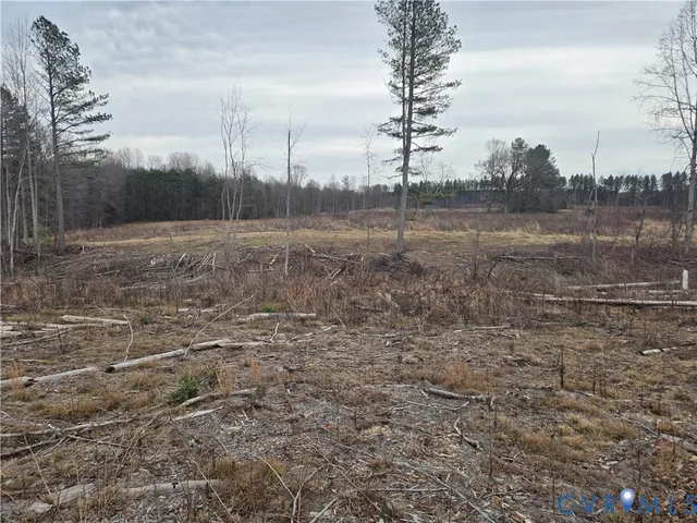 a view of a dry yard with trees
