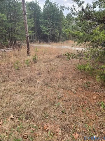 a view of backyard with green space