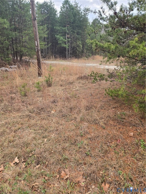 0 Fredericks Hall Road Mineral, VA 23117 - Photo 7 of 10 View of wooded area