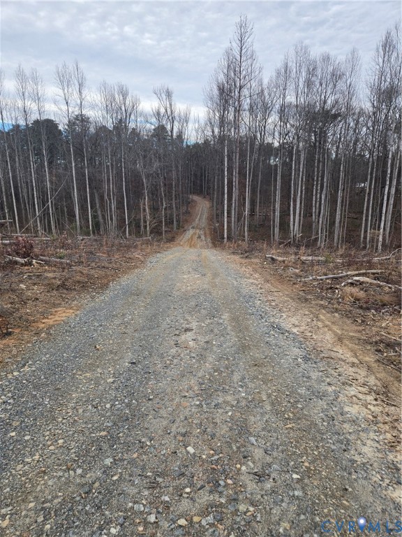 0 Fredericks Hall Road Mineral, VA 23117 - Photo 9 of 10 View of dirt / gravel road featuring a wooded view