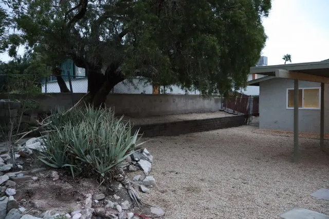 a view of backyard and trees