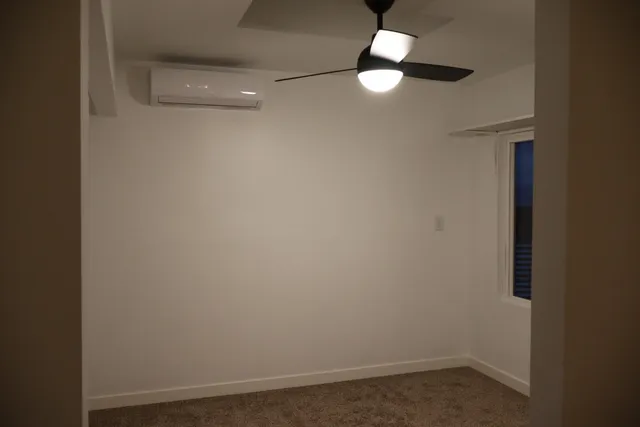 a view of backyard and window