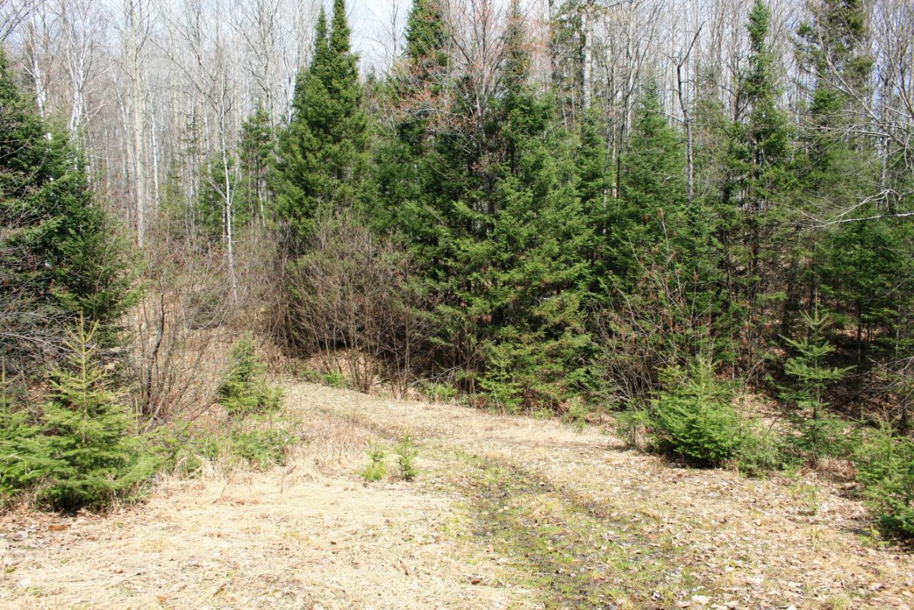 Tbd State Line Road Marenisco, MI 49947 - Photo 2 of 17 Gallery Image 2
