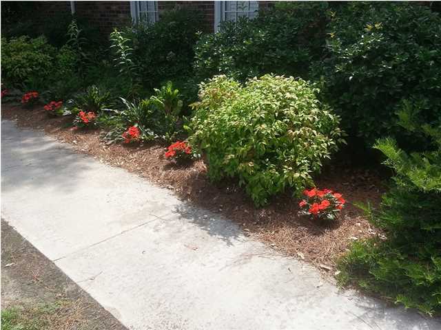 304 Bryant Street St. George, SC 29477 - Photo 24 of 24 Additional Photo