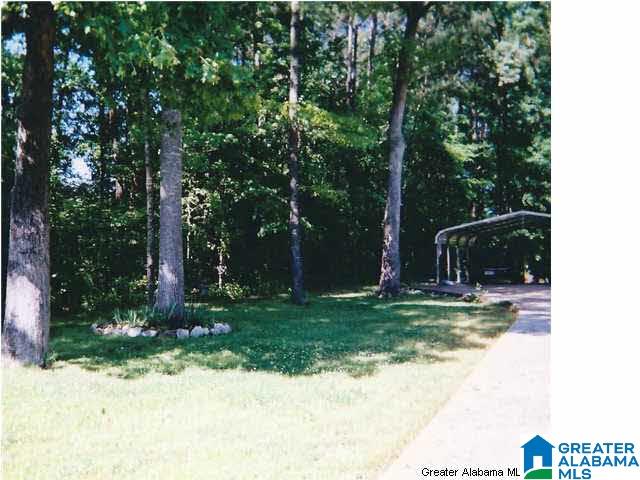 1499 Ray Wyatt Road Ashville, AL 35953 - Photo 4 of 29