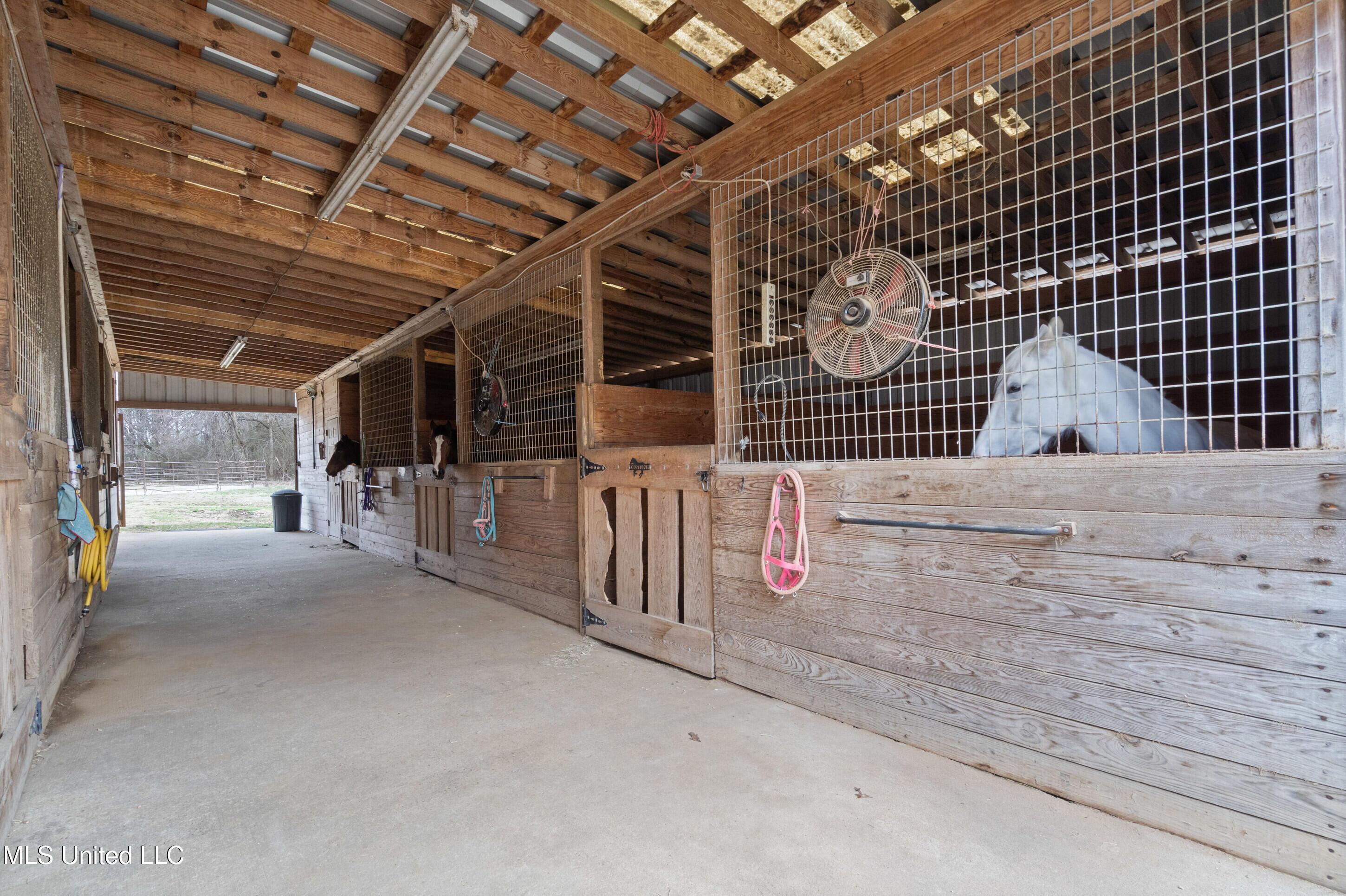 9142 Mineral Wells Road Olive Branch, MS 38654 - Photo 11 of 68 _dsc2190