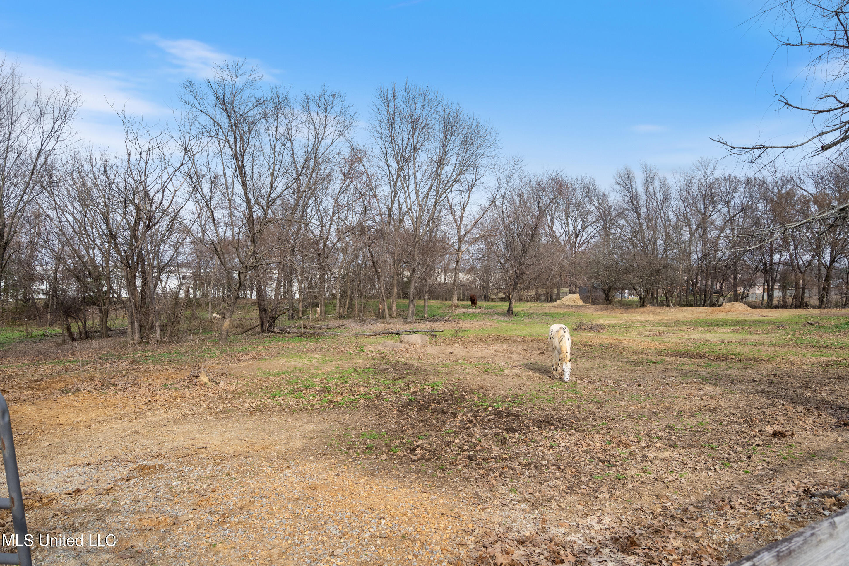 9142 Mineral Wells Road Olive Branch, MS 38654 - Photo 31 of 68 _dsc2250