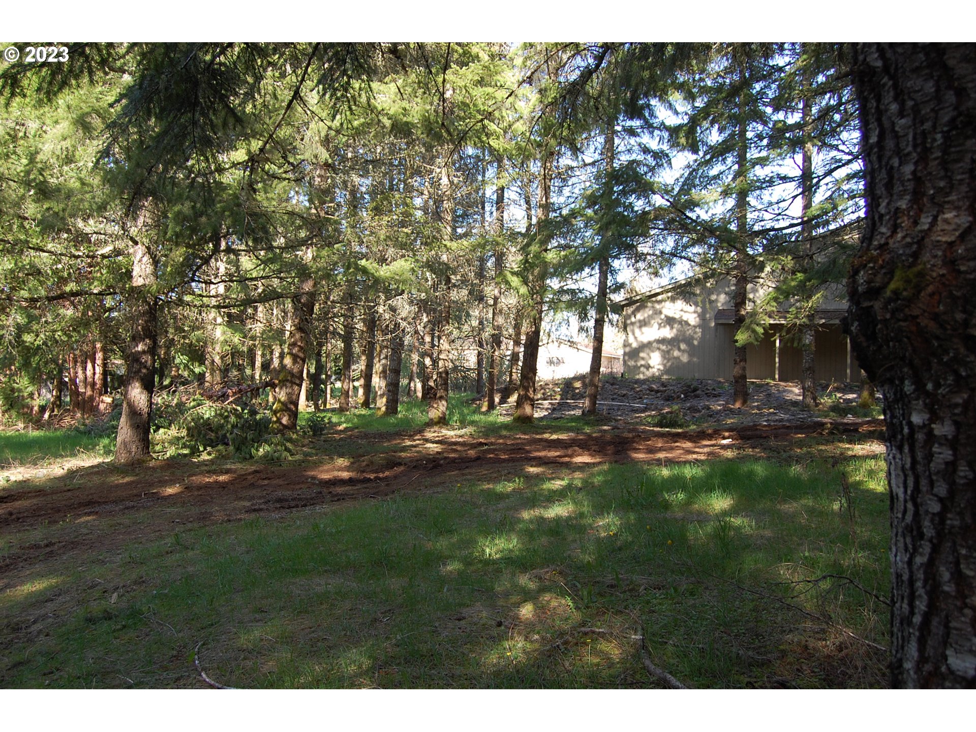 5145 Red Prairie Road Sheridan, OR 97378 - Photo 30 of 43 a view of yard with tree
