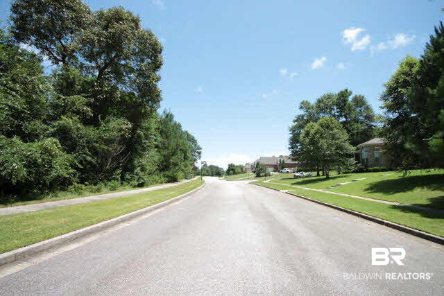 0 Dolive Ridge Daphne, AL 36527 - Photo 4 of 4