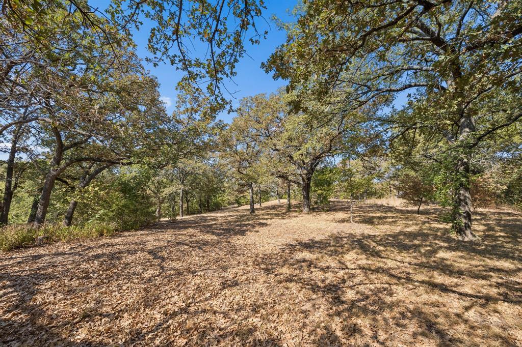 2301 Moseley Road Cross Roads, TX 76227 - Photo 23 of 28 Gallery Image 23