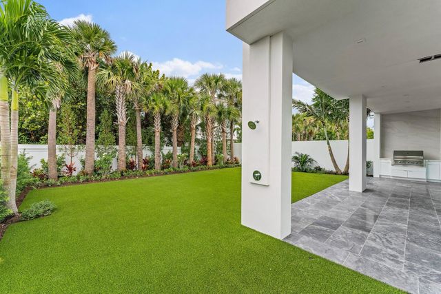 a kitchen with a stove and a potted plant