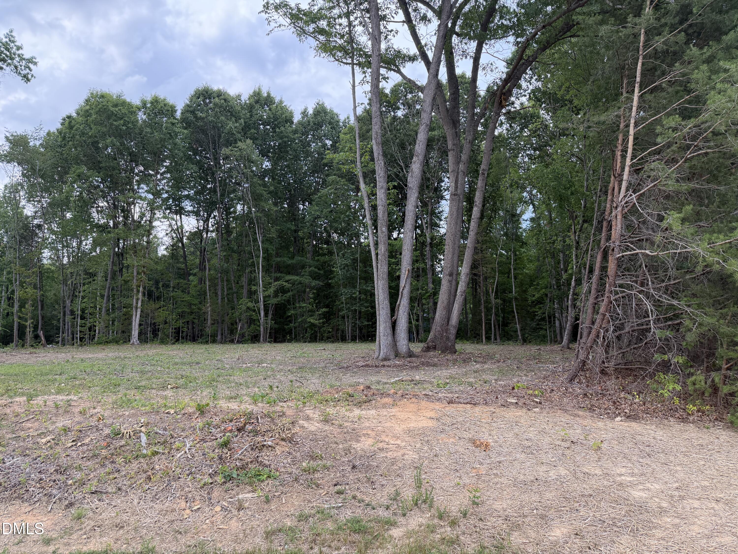 8 Heath Lane Roxboro, NC 27574 - Photo 8 of 13