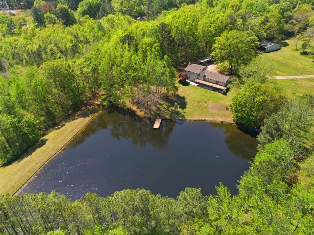 224 Old Franklin Street Roopville, GA 30170 - Photo 43 of 60