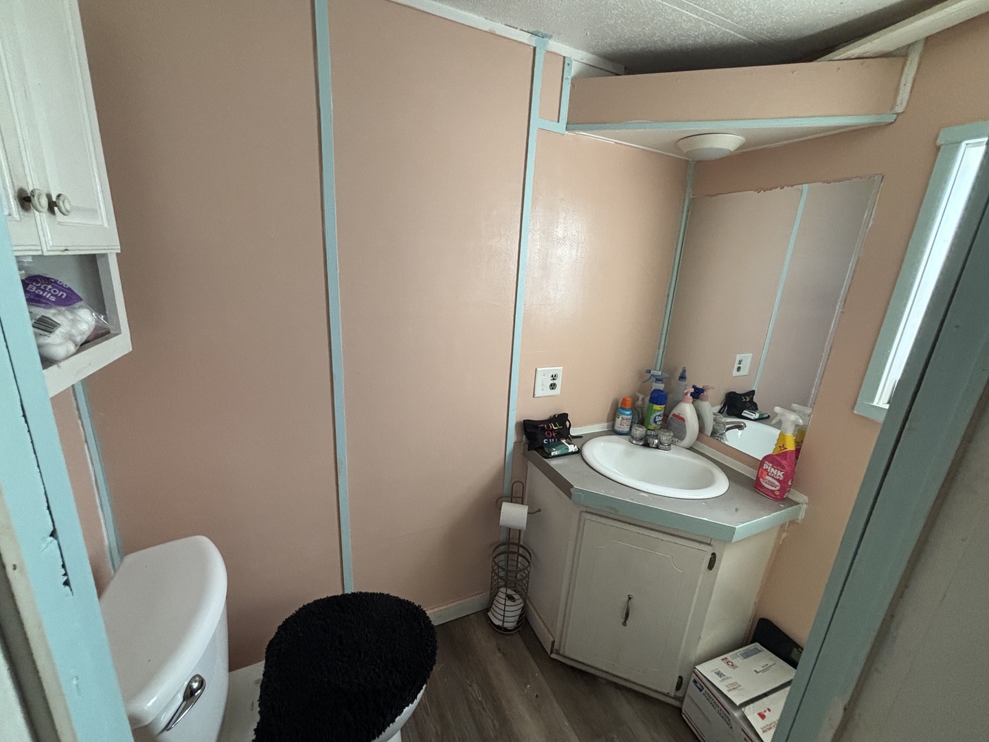 1712 South Dixie Highway, Unit 47 Crete, IL 60417 - Photo 7 of 12 a bathroom with a sink a toilet a mirror a vanity and shower
