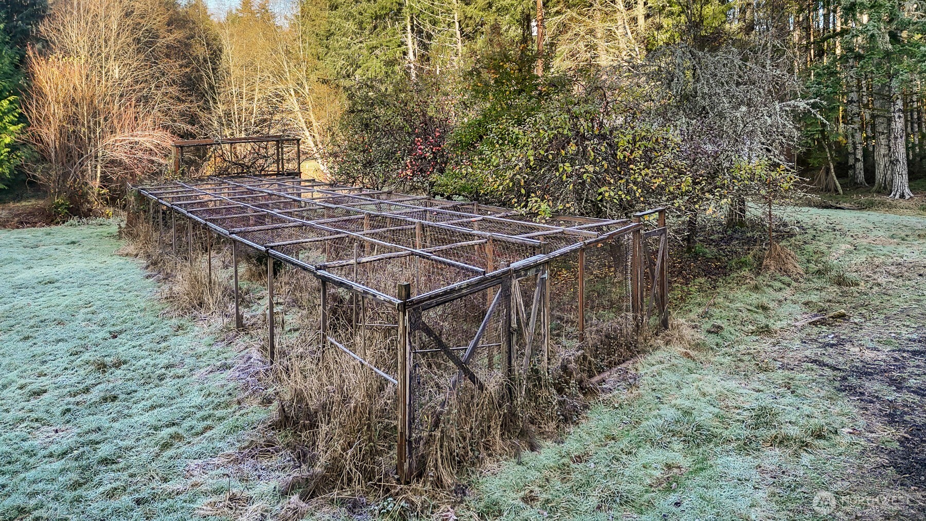 194 Piper Lane Chehalis, WA 98532 - Photo 32 of 40 a view of a backyard with trees
