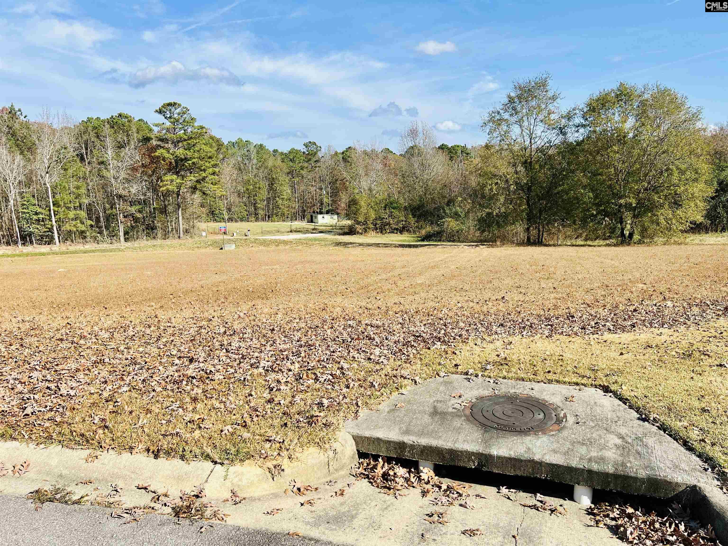 127 Deer Ridge Trail Gilbert, SC 29054 - Photo 7 of 13