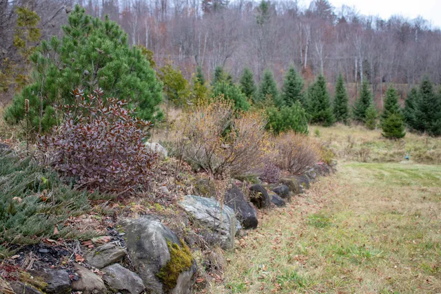 $399,000 | 543 Boyce Road, Williamstown, VT 05679