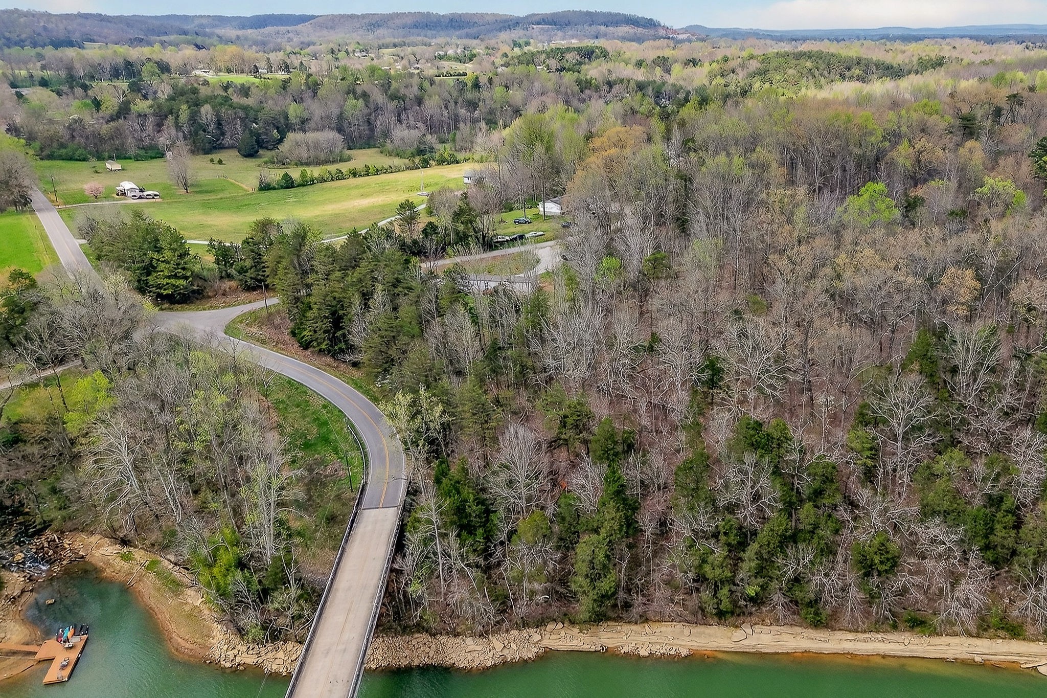 1237 Ridge Road Quebeck, TN 38579 - Photo 11 of 47 a view of a forest with a yard