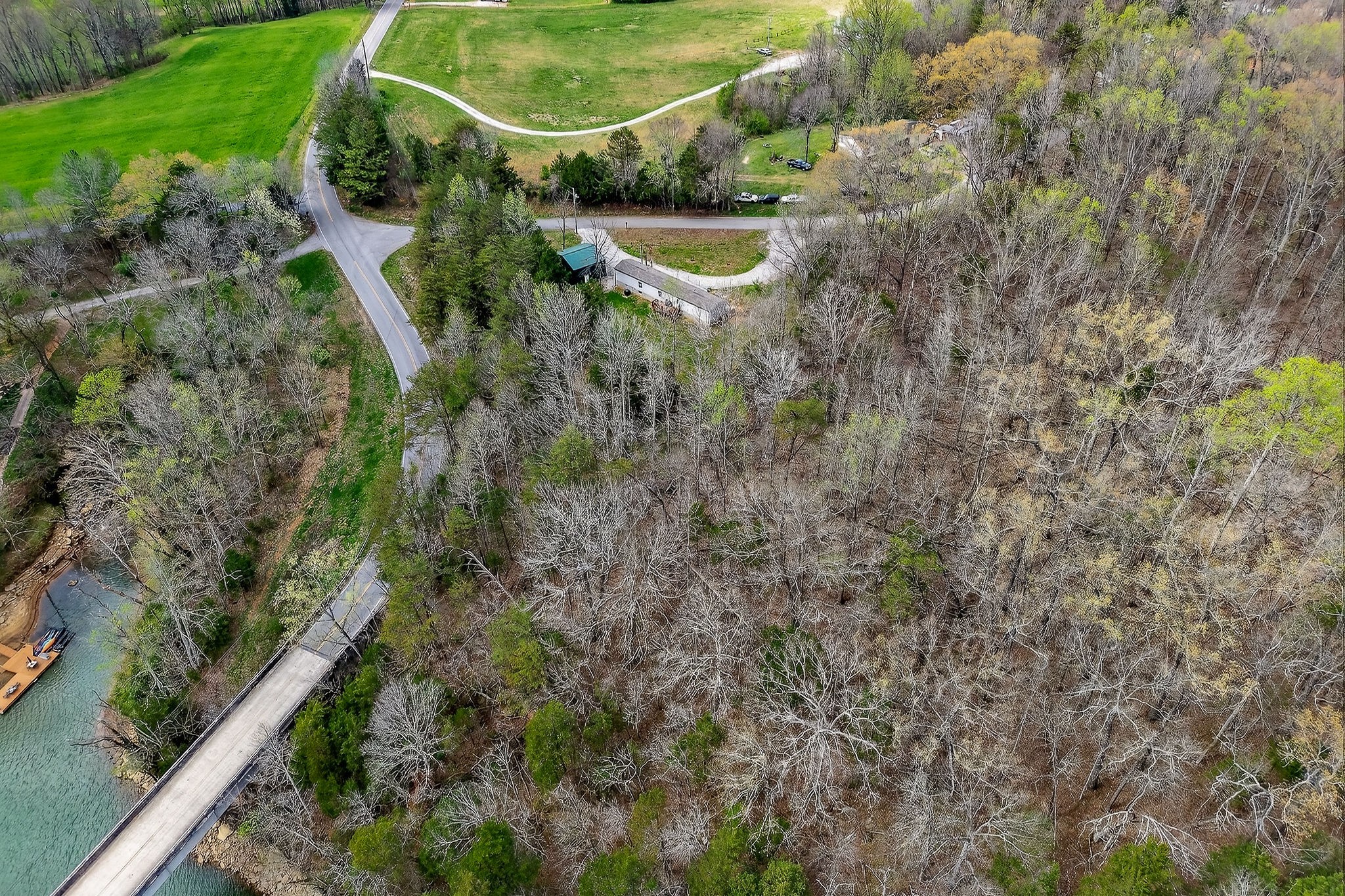 1237 Ridge Road Quebeck, TN 38579 - Photo 12 of 47 a view of a yard with plants and large tree