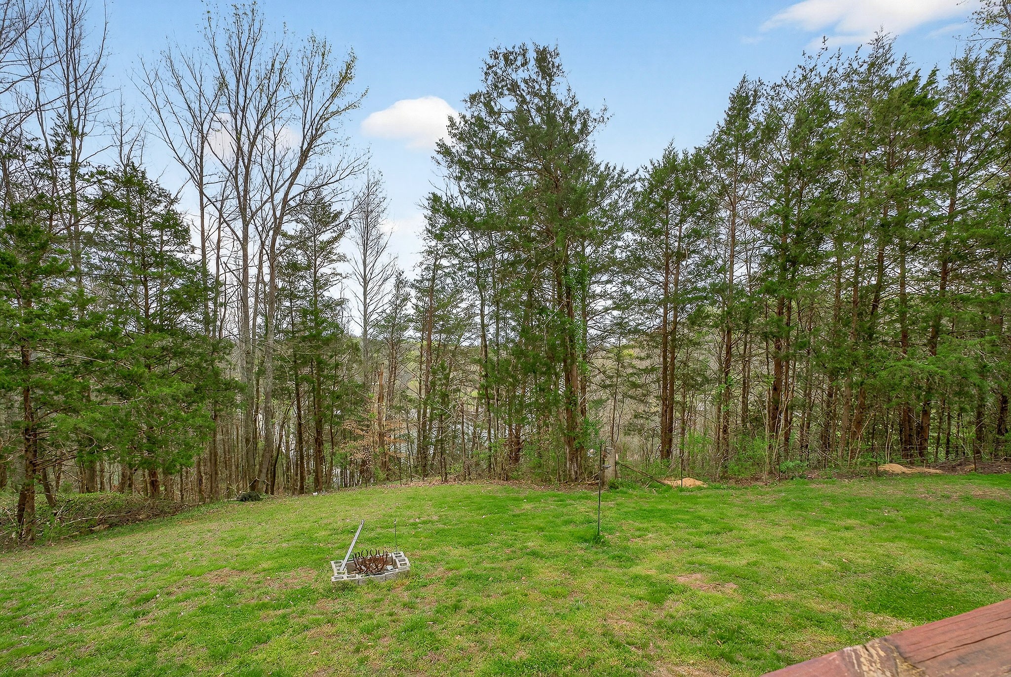 1237 Ridge Road Quebeck, TN 38579 - Photo 38 of 47 a big yard with lots of green space and trees