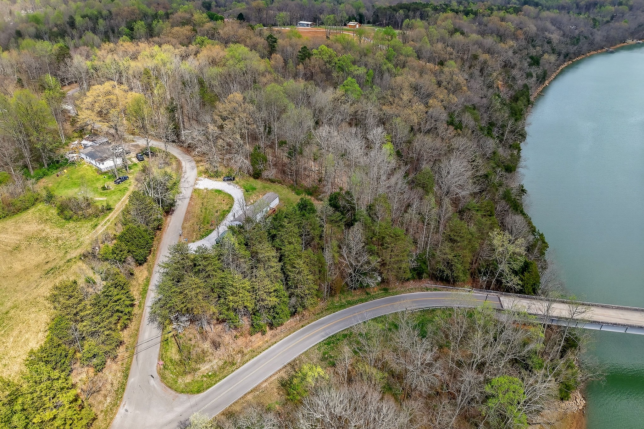 1237 Ridge Road Quebeck, TN 38579 - Photo 9 of 47 a view of a yard with large trees