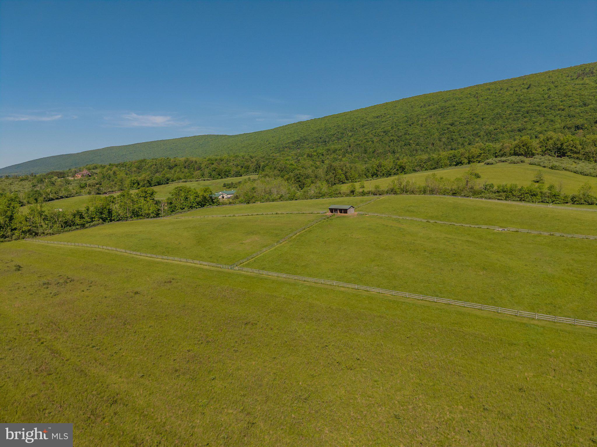 4503 Scotch Valley Road Hollidaysburg, PA 16648 - Photo 24 of 85 a view of a big yard with an empty space