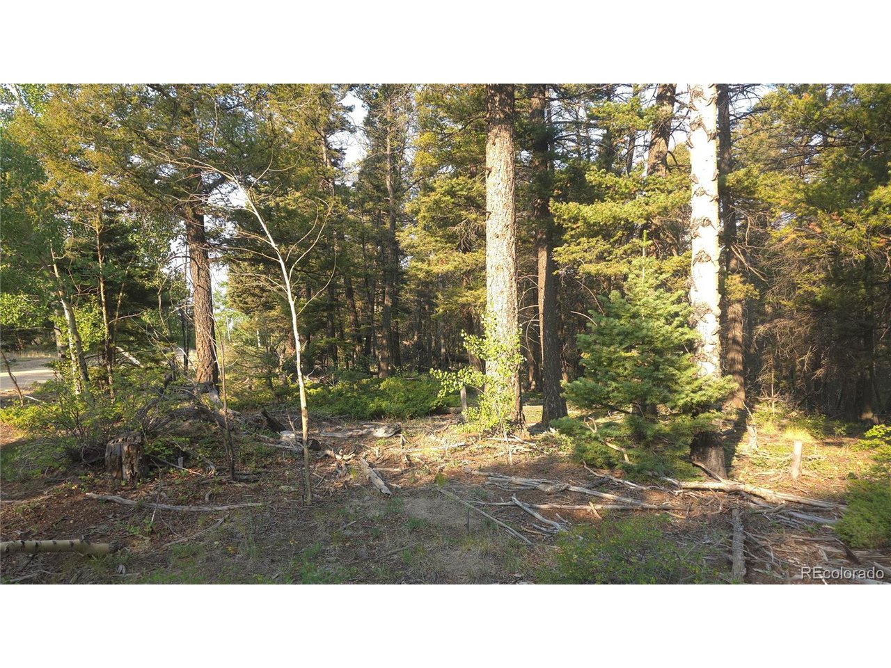 5768 Clawson Road San Luis, CO 81152 - Photo 1 of 24 Gallery Image 1