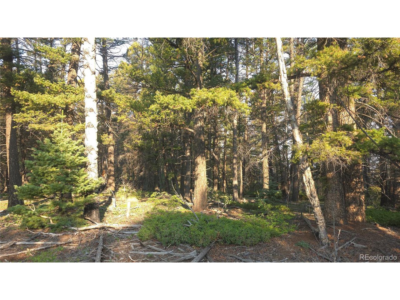 5768 Clawson Road San Luis, CO 81152 - Photo 20 of 24 Gallery Image 20
