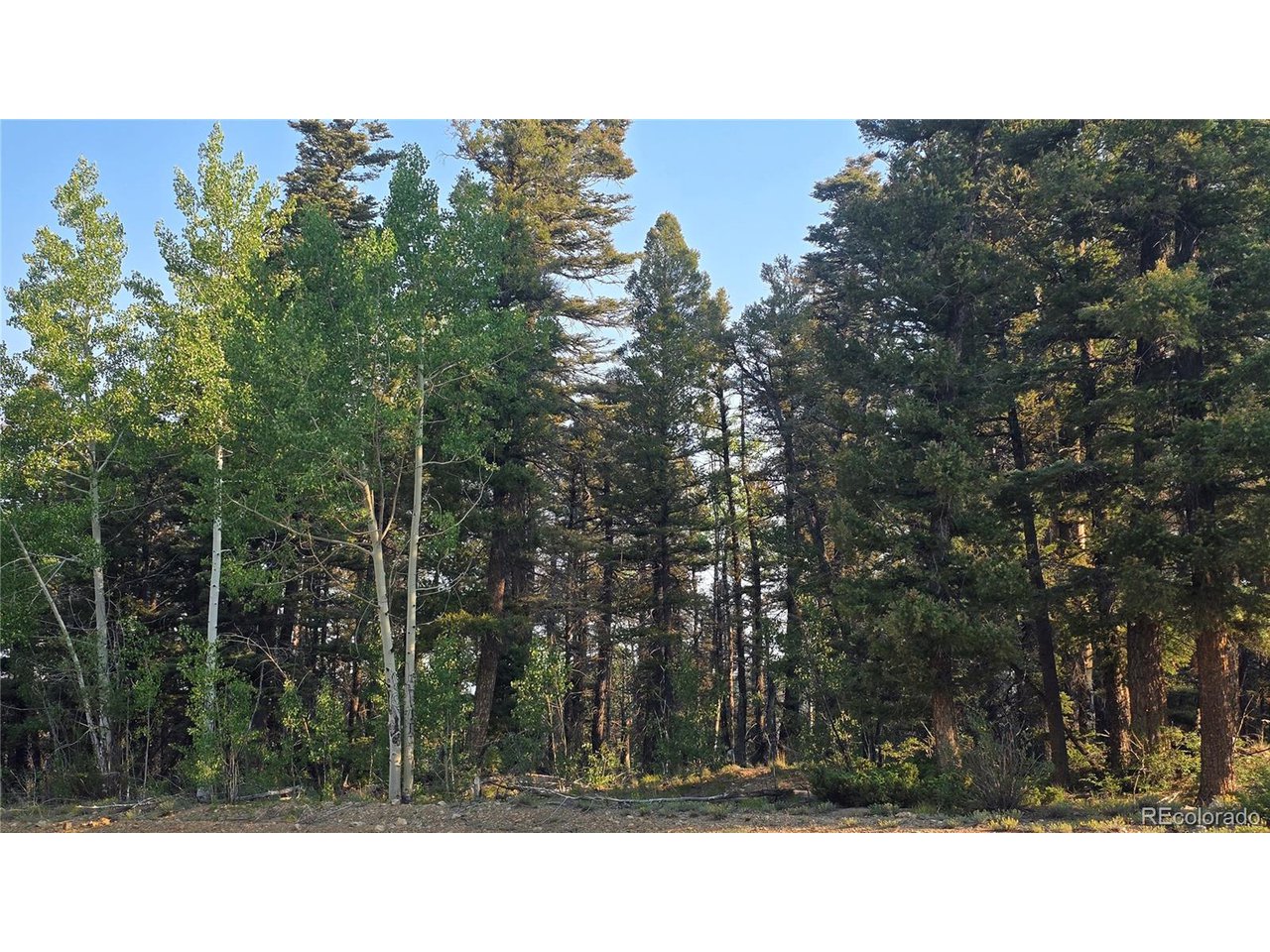 5768 Clawson Road San Luis, CO 81152 - Photo 24 of 24 Gallery Image 24