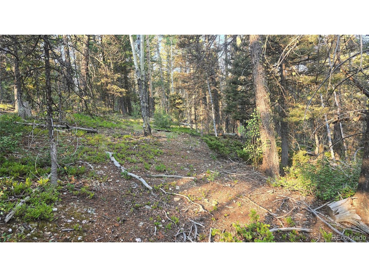 5768 Clawson Road San Luis, CO 81152 - Photo 10 of 24 Gallery Image 10
