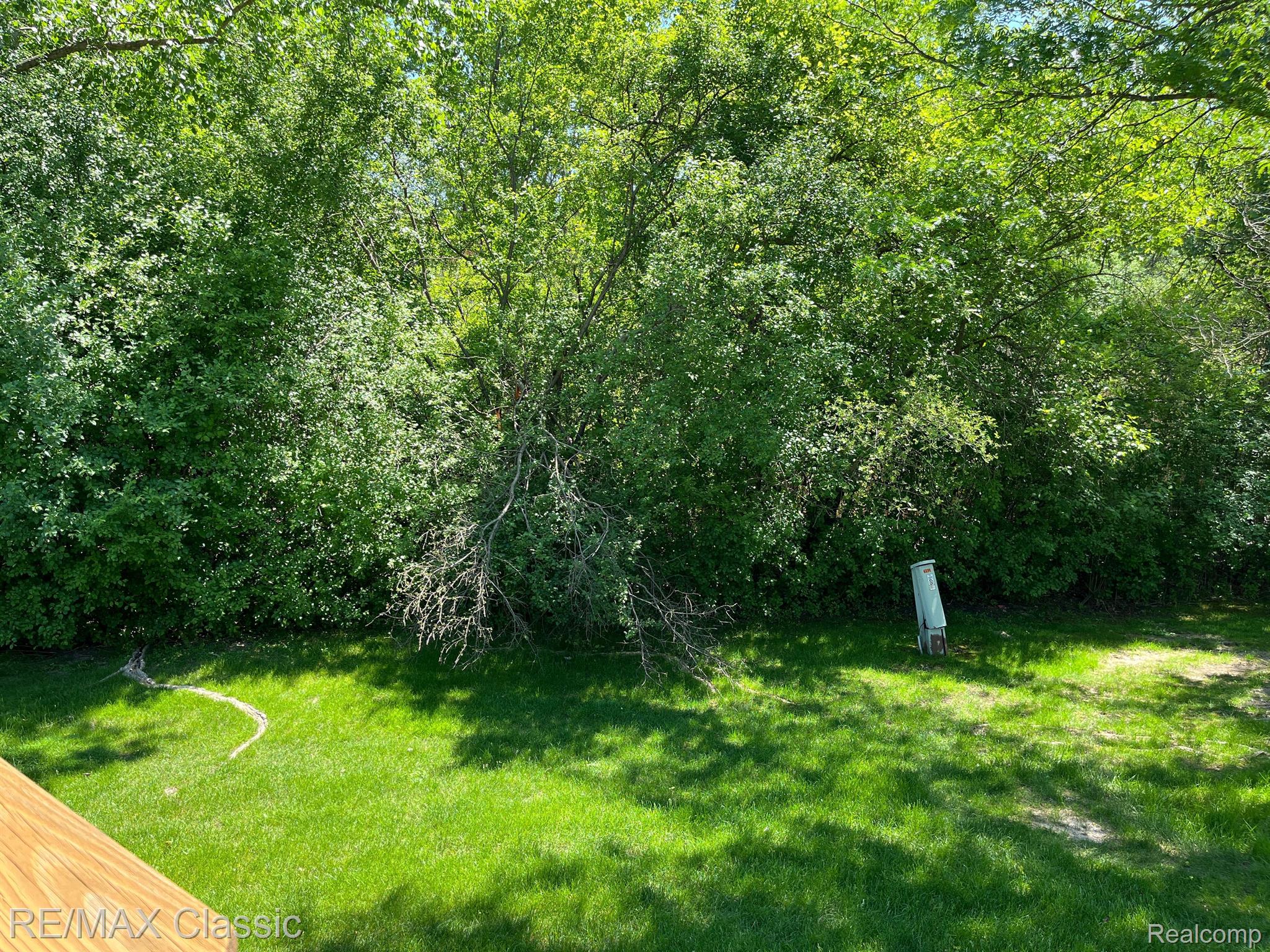 5249 Simpson Lake Road, Unit 70 West Bloomfield, MI 48323 - Photo 22 of 31 Wooded Backyard