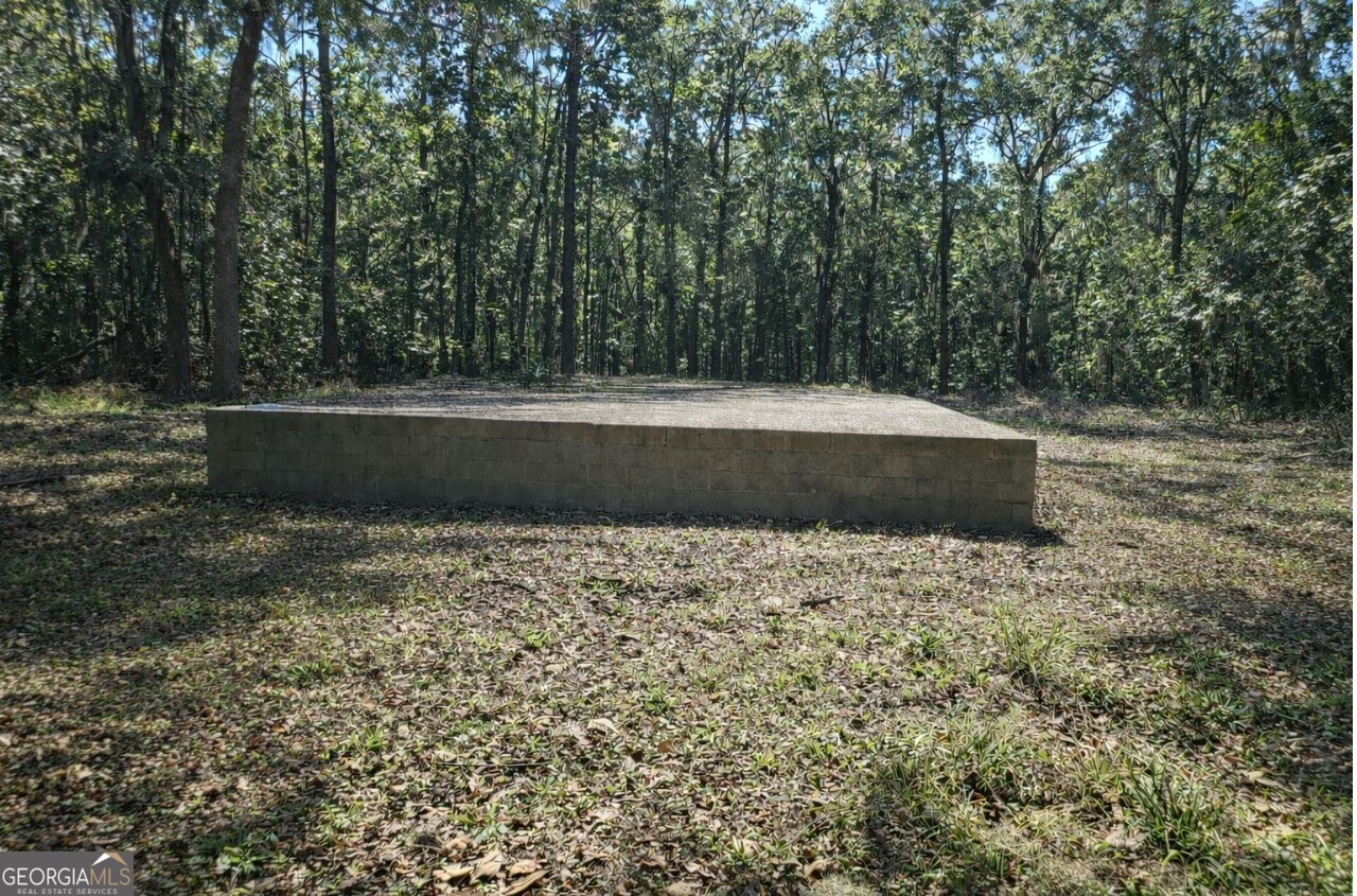 103 Coffee Bluff Villa Road Savannah, GA 31419 - Photo 2 of 15 Lot Daytime View