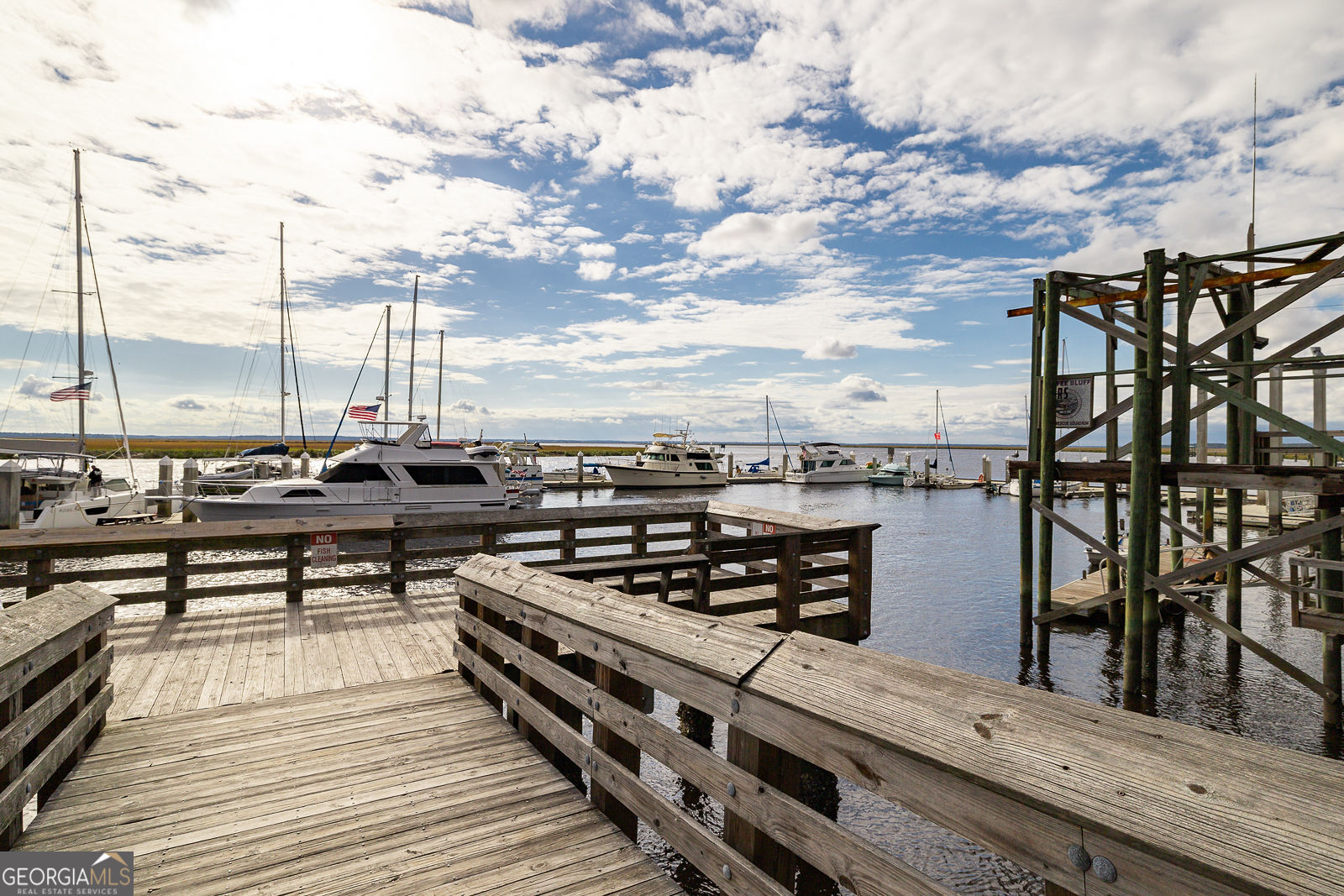 103 Coffee Bluff Villa Road Savannah, GA 31419 - Photo 6 of 15 Dock