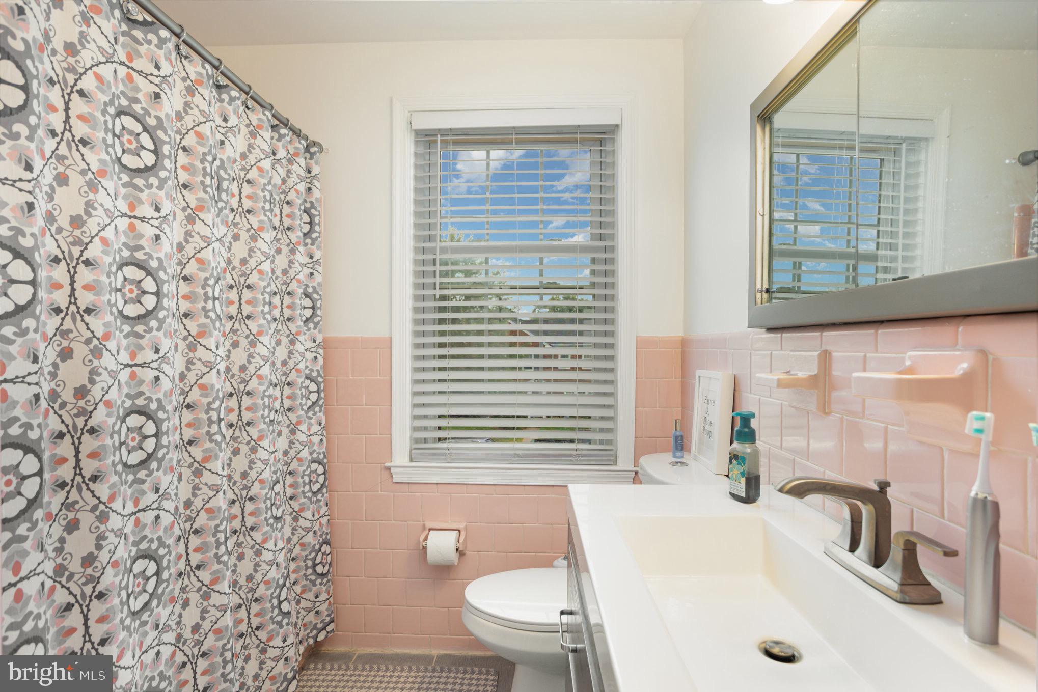 1500 Doxbury Road Baltimore, MD 21286 - Photo 22 of 36 a bathroom with a sink a toilet and shower