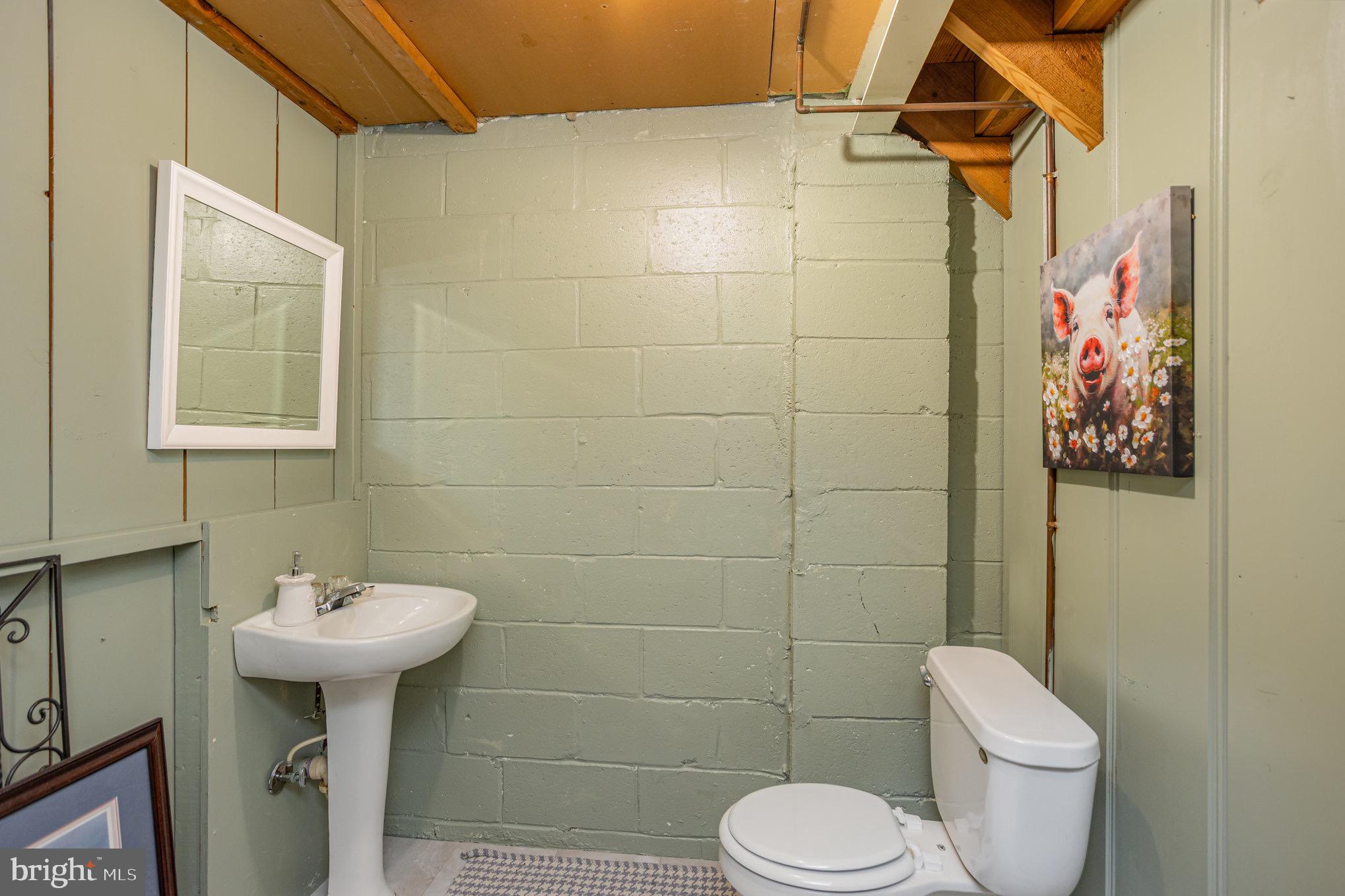 1500 Doxbury Road Baltimore, MD 21286 - Photo 30 of 36 a bathroom with a toilet sink and mirror