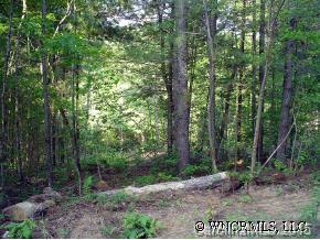 0 Sharon Ridge Road, Unit 1 1 Fairview, NC 28730 - Photo 2 of 7 Gallery Image 2