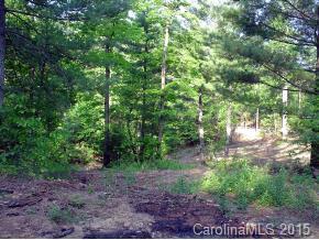 0 Sharon Ridge Road, Unit 1 1 Fairview, NC 28730 - Photo 3 of 7 Gallery Image 3